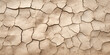 Dry And Cracked Earth Textur, Dried and cracked desert ground dry mud soil texture background, texture of the old cracked wall, Texture of dried mud on a salt pan in Botswana, Generative AI