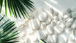 White pebbles, palm leaves and seashells on white background