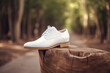 Beautiful white shoe displayed over a piece of wood, countryside outdoor.