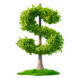 A tree with leaves in the shape of dollar signs on a white or transparent background. Money tree close-up, frontal view. Concept of investment, financial literacy, and savings. Graphic design element.
