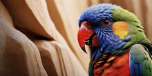   A Colorful Parrot Perched On A Tree Branch Alongside The Trunk And Against A Backdrop Of A Wall