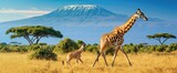 Wild african giraffe on Kilimanjaro mount background. National park of Kenya, Africa. AI generated illustration
