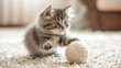Adorable tabby kitten with blue eyes playing with a yarn ball.