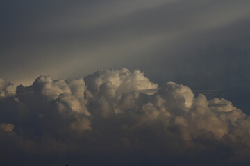 Wall Mural - clouds in the sky