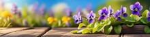 Realistic Banner Spring Or Summer Purple Colors On Simple Wooden Table Top On Blurred Natural Morning Background.