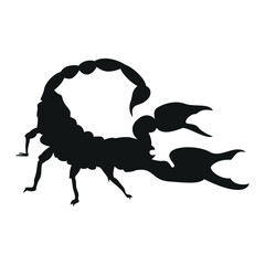 Scorpio vector silhouette. White background. Hand drawing.
