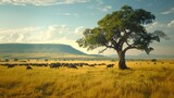 Fototapeta Sawanna - The environment: A vast savanna with roaming herds of wildlife