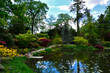 ogród japoński kwitnące różaneczniki i azalie, ogród japoński nad wodą, japanese garden blooming rhododendrons and azaleas, Rhododendron	