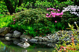 Fototapeta Kwiaty - ogród japoński kwitnące różaneczniki i azalie, ogród japoński nad wodą, japanese garden blooming rhododendrons and azaleas, Rhododendron,  japanese garden, designer garden