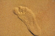 odcisk stopy na piasku, footprints in the sand, foot imprint in sand on the beach in summer
