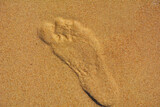 Fototapeta Kwiaty - odcisk stopy na piasku, footprints in the sand, foot imprint in sand on the beach in summer

