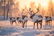 A group of reindeer standing together on top of a field covered in snow, A herd of reindeer in a shimmering, snowy field, AI Generated