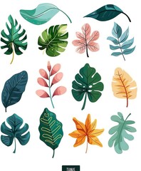  Collection of leaves