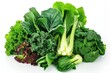 Leafy Vegetable. Dark Green Assortment of Leafy Vegetables Isolated on White Background