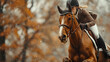 Focused equestrian rider on a bay horse, training amidst a backdrop of golden autumn leaves, capturing the essence of the fall season