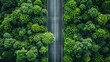 Top view asphalt road and green forest. Ecosystem and ecology healthy environment concepts and background