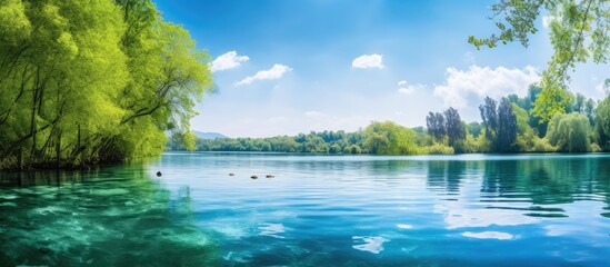 Wall Mural - A serene lake reflects the vibrant blue sky and fluffy white clouds, surrounded by lush trees on a sunny day, creating a picturesque natural landscape