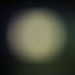 Abstract blurry background, round light spot and dark green.
