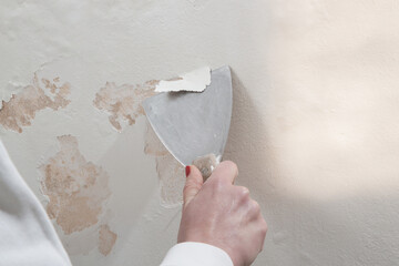 Saltpeter on the wall problem. Woman is using a scraper to scrape and remove all loose paint and plaster that is in poor condition, until a firm surface is achieved.	