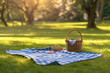 © CozyDigital - Summer rest on picnic in the park. There is blanket and basket of food on the grass.