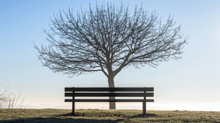 Sticker -  A tree lacking foliage and a bench in the foreground, framed by a blue sky and cloud-filled backdrop