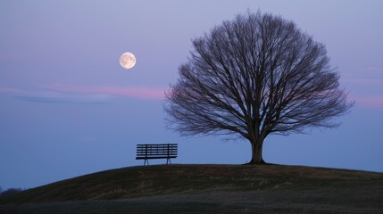 Sticker -  A solitary bench beneath a tree, bathed by moonlight above, with a barren tree in the foreground