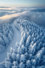 Wall Mural - Snowy Country Road Aerial View, road adventure, path to discovery, holliday trip, Aerial view