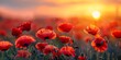 Low Angle Photography of Poppy Flowers with Blurred Sunset Background Generative AI