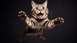 tabby funny cat jumping isolated over black background