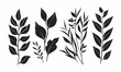 © Stitch - Set of black icons of twigs with leaves. Collection of vector icons of twigs with leaves on a white background