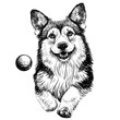 A Pembroke Welsh Corgi dog. A graphic, sketchy image of a dog running after a ball. 