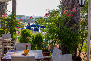 Wall Mural - Fantastic morning  on beach  on Santorini (or Crete or Spetses or  Rhodes or Mykonos)  and harbor   in distance! View from awe beach cafe