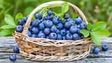 Fototapeta Kuchnia -  Blueberries in a basket on a wooden table near a plant