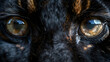 Close up on a black panther eyes on black