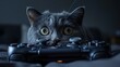 funny scottish fold cat with snout close to the lens with game controller playing game
