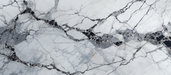 Poster - Detailed view of a black and white intricate design on a polished marble surface