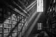 An atmospheric black and white photo capturing beams of light pouring through library windows, enlightening the ancient tomes within