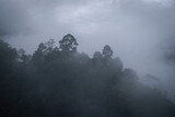 Fototapeta Na ścianę - fog in the mountains