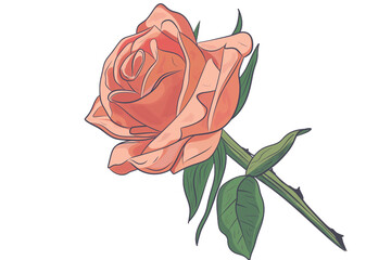 Wall Mural - A pink rose with a green stem