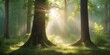 Softly focused verdant trees with wild undergrowth and sunbeams threading through, crafting a peaceful summer forest scene, generative AI