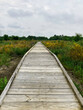 © David McQ - Wooden walkway through foliage on cloudy day