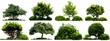 Set of green garden bushes, cut out isolated on white background or transparent PNG