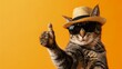 A cat wearing a hat and glasses gives a thumbs up and shows appreciation.