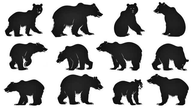 Silhouette bear collection vector, simple silhouette style with black color and white background