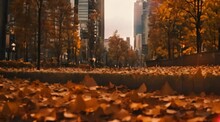 Busy City And Tall Buildings. Autumn Atmosphere In The City