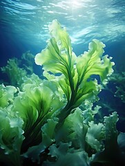 Wall Mural - A green plant is growing in the ocean. The plant is very large and has a lot of leaves. The water is very clear and the sun is shining on the plant