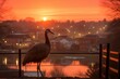 A view of a sandhill crane at sunset