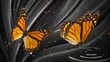 Schmetterlinge auf schwarzem Hintergrund, Live Wallpaper für Computer.