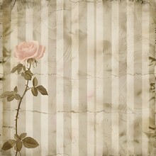 Beige And White Striped Patterned Paper With An Elegant Rose Border Seamless