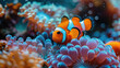  A clownfish swimming among anemones in the ocean, surrounded by vibrant coral and marine life. Created with Ai